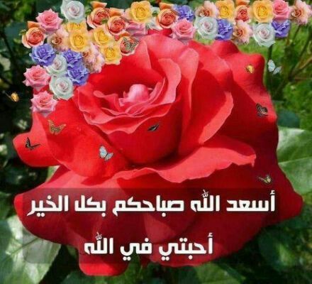 رد على يسعد صباحك بكل خير