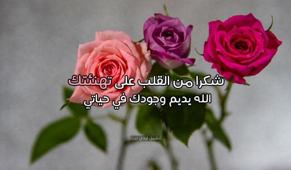 رد على تهنئة