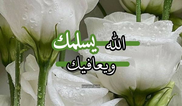 الرد على تسلم