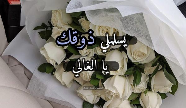 رد على تعليقات الفيس بوك