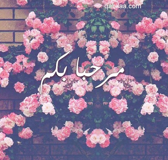 رد على يامرحبا