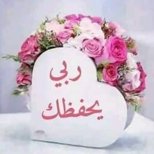 رد على ربي يحفظك
