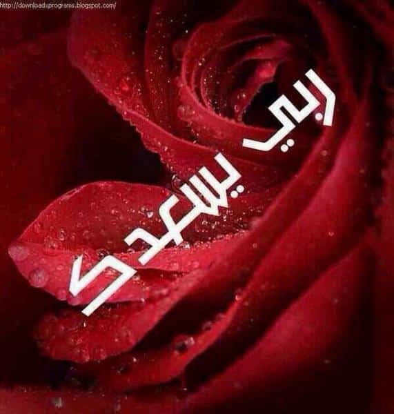رد على ربي يسعدك