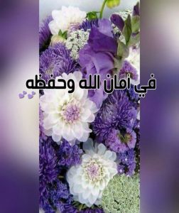 رد على في امان الله