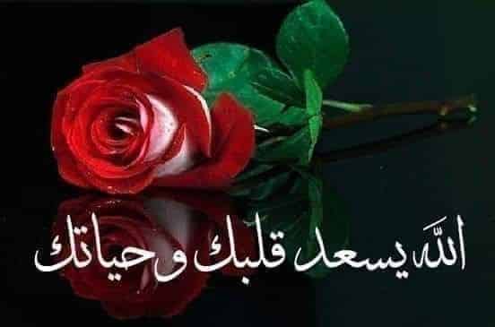 ايش ارد على يسعد قلبك
