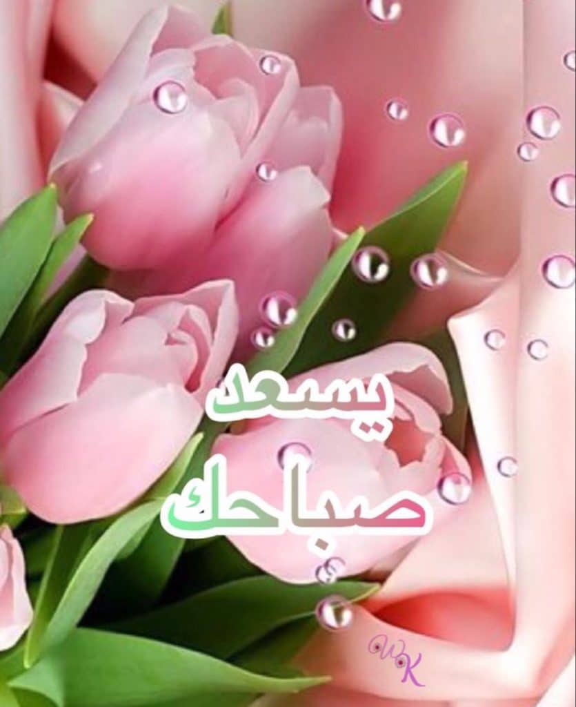 الرد على يسعد صباحك
