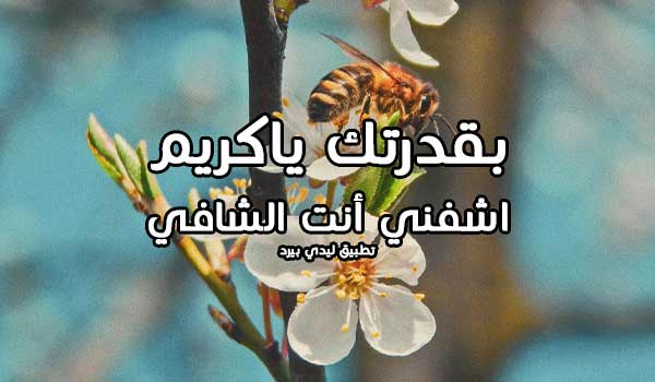 دعاء الشفاء لنفسي حالات واتس