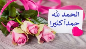 رد على بخير الحمدلله