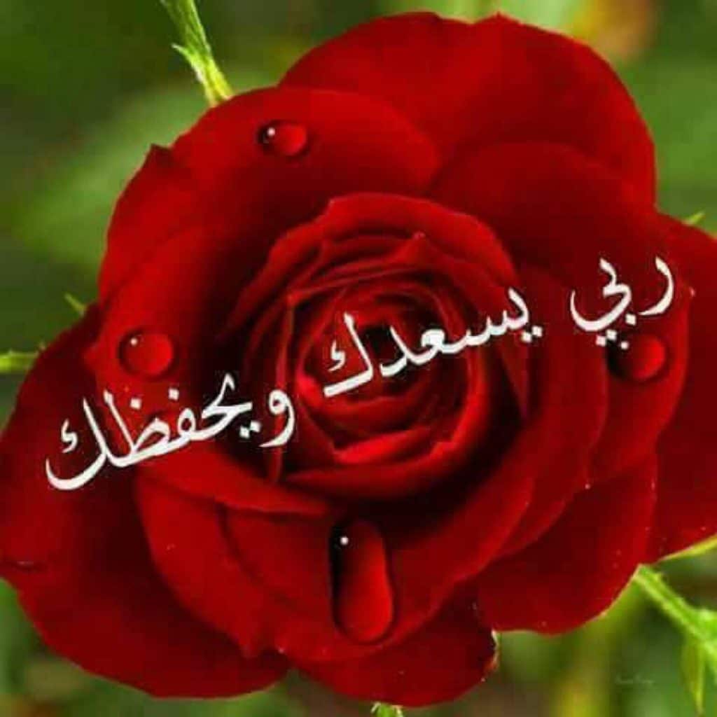 اذا احد قالك بارك الله فيك وش ارد