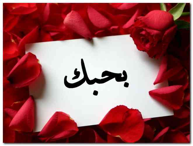 رد على بحبك
