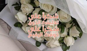 رد على تعليق ذوق راقي