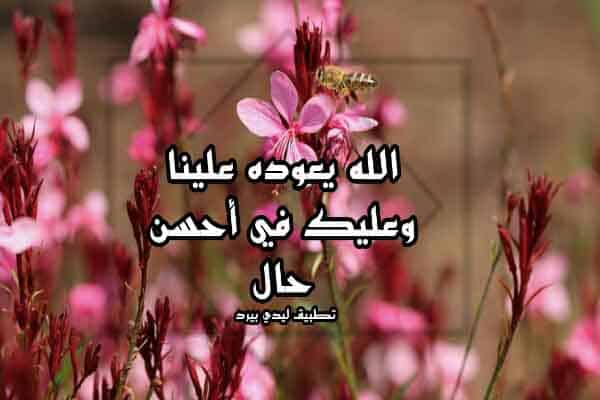 شكرا على التهنئة بالعيد