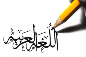 جمل ب لم ولن