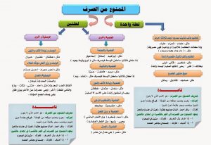 الممنوع من الصرف في سورة الملك
