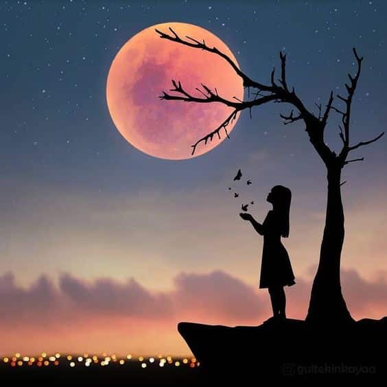 شعر عن المرأة