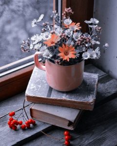 أبيات شعر حكمة قوية
