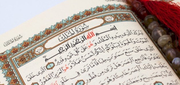 تجربتي مع سورة الملك