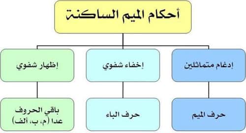 أمثلة على أحكام الميم الساكنة