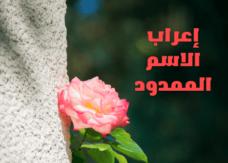 اعراب الاسم الممدود