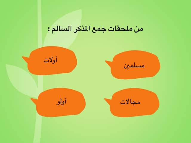 ملحقات جمع المذكر السالم