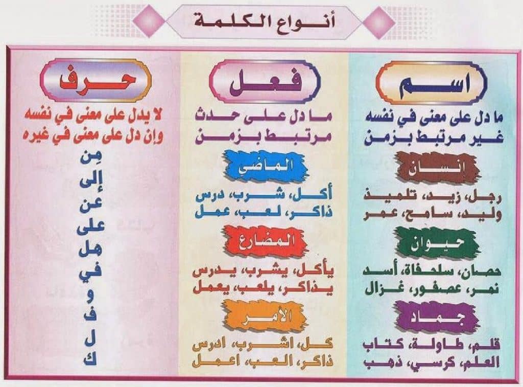 انواع الكلمة في اللغة العربية