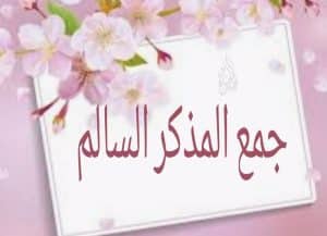 ملحقات جمع المذكر السالم