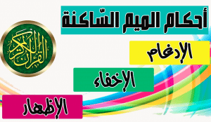 أمثلة على أحكام الميم الساكنة والتنوين