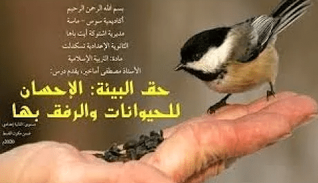 تحضير درس حق البيئة الإحسان للحيوانات والرفق بها