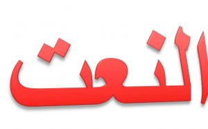 جملة فيها نعت سببي
