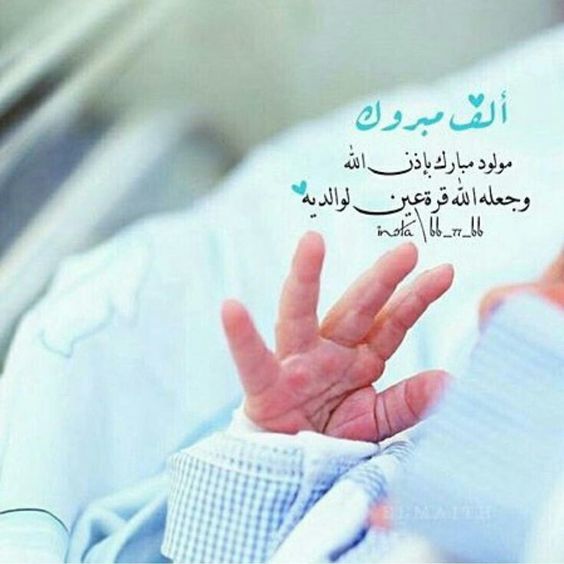 المولود الجديد4