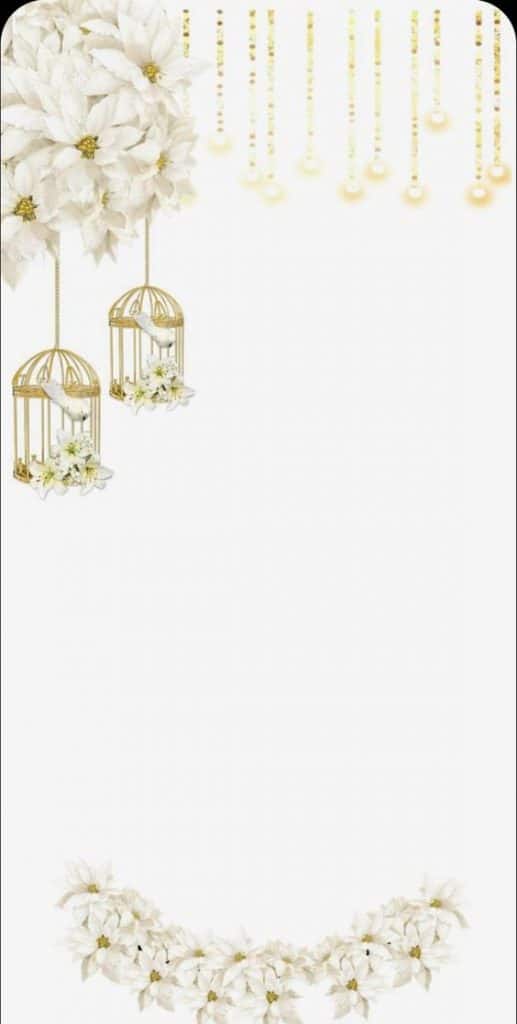 استكرات زواج فاضيه1