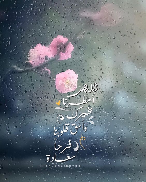 كلمات وصور عن المطر4