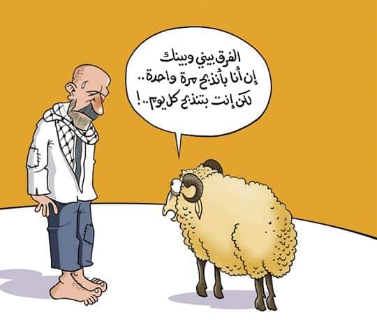 صورمضحكة عن خروف العيد1