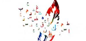 أنواع الخبر