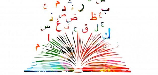 أنواع الخبر