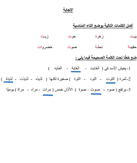 ورقة عمل التاء المربوطة والمفتوحة للصف الخامس 2