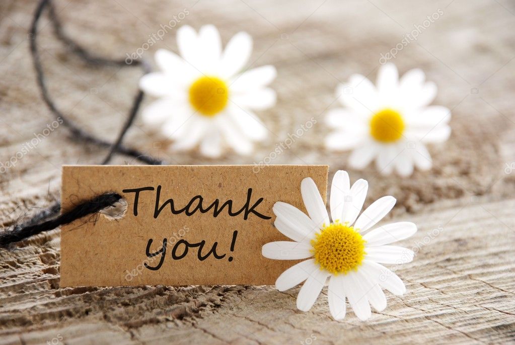 thank you messages for help