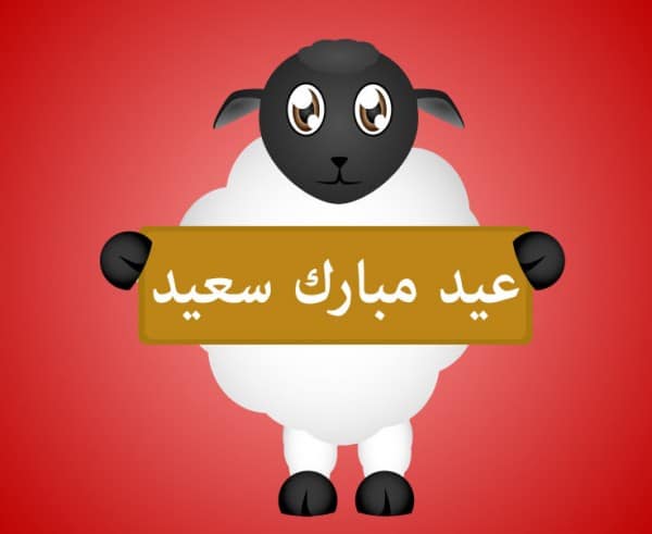أجمل الصور خروف العيد1