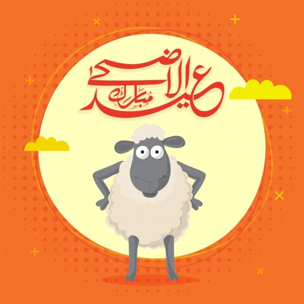 أجمل الصور خروف العيد2