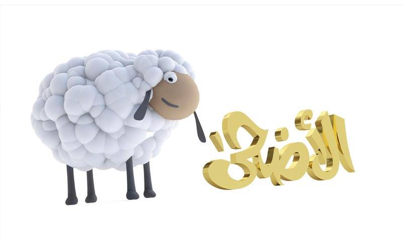 أجمل الصور خروف العيد4