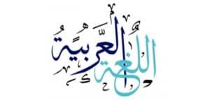 أدوات النفي في جمل مفيدة