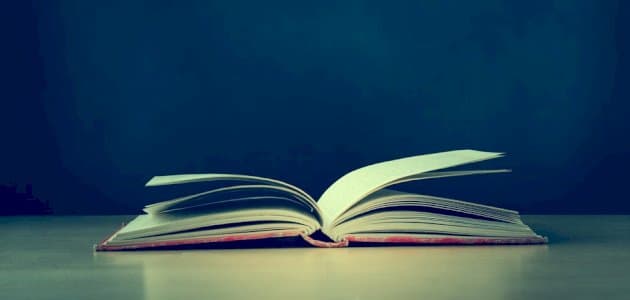 أدوات النفي في جمل مفيدة