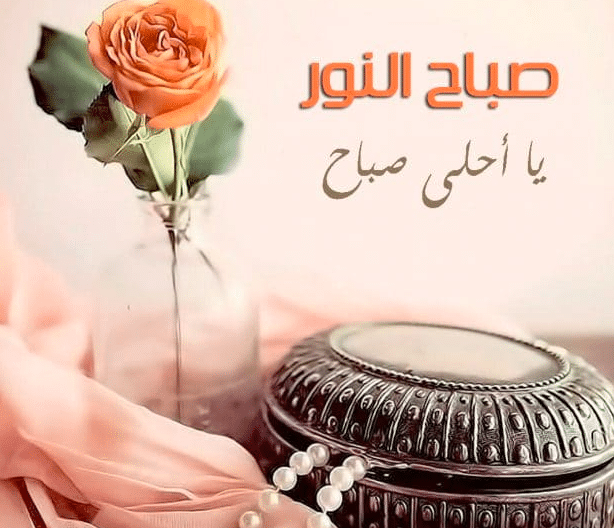 كلام عن الصباح للحبيب تويتر 3