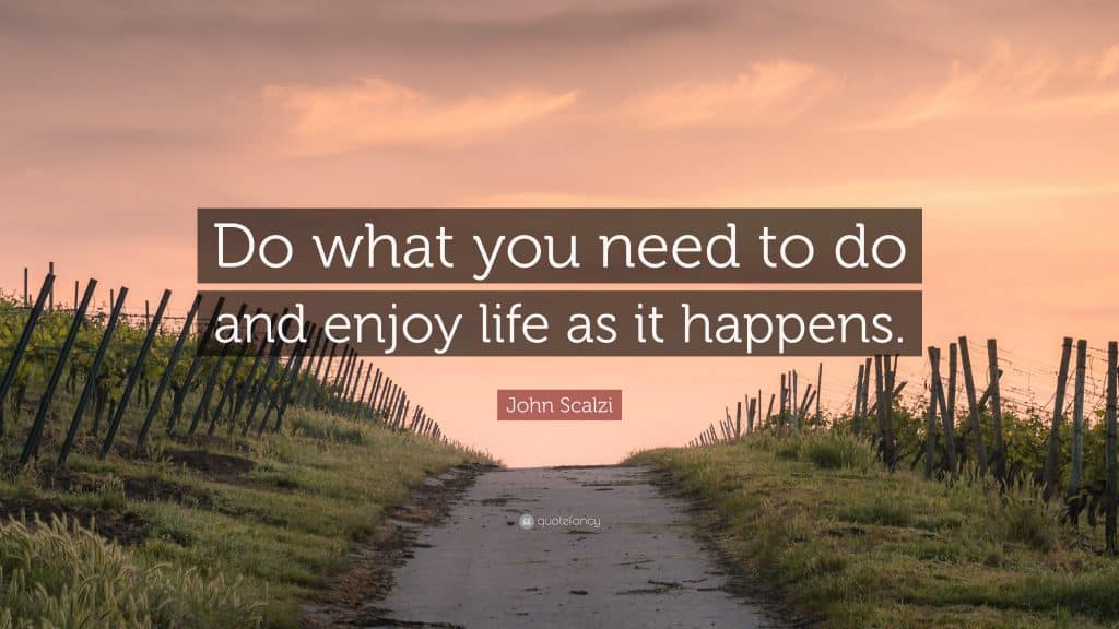 Short quotes about enjoying life