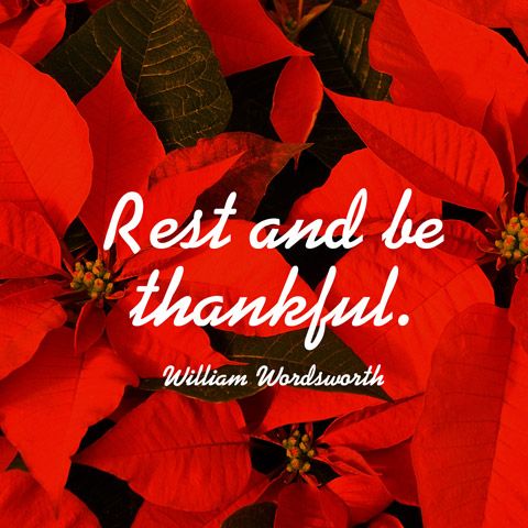 Quotes on Relaxation that Will Inspire You to Stay Calm