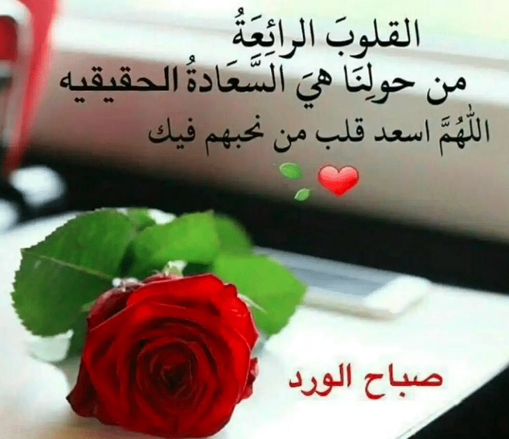 كلام عن الصباح للحبيب تويتر 5