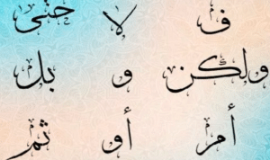 جمل فيها بل