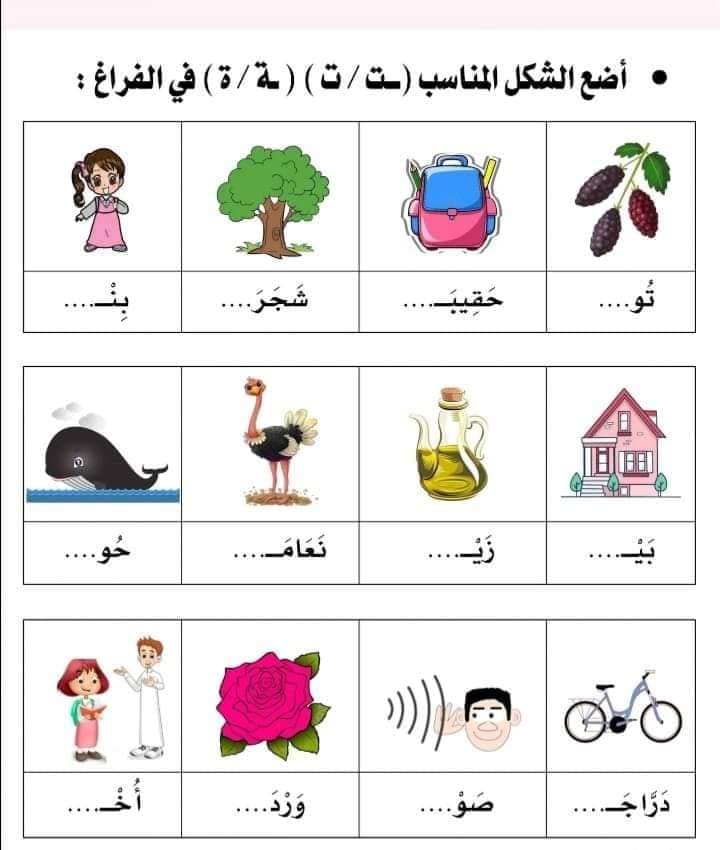 اوراق عمل التاء المفتوحة والمربوطة 4