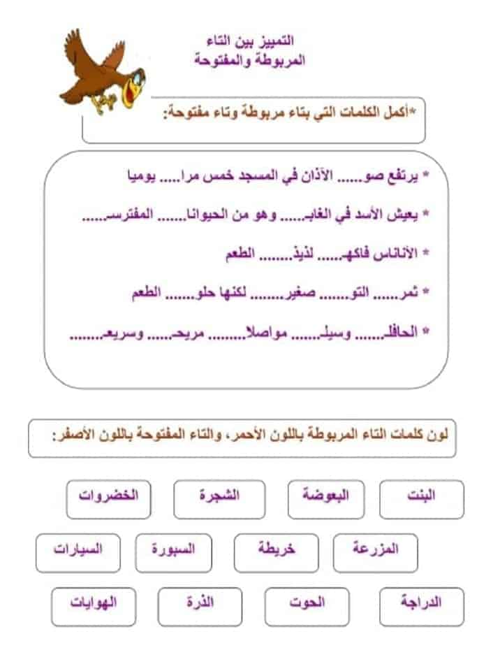 اوراق عمل التاء المفتوحة والمربوطة 3