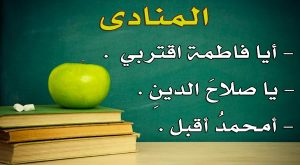 جمل ب ايها